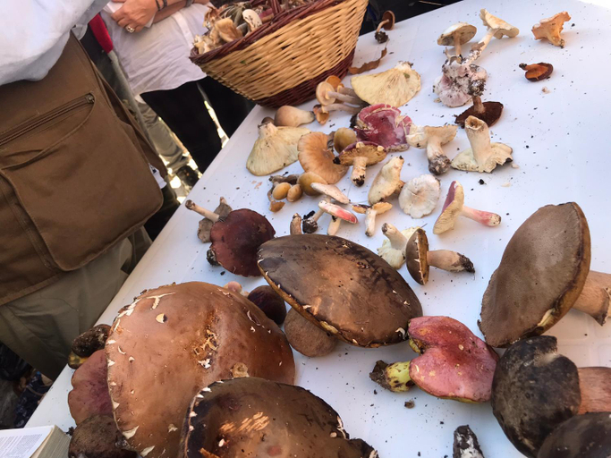 Food & Drinks 3, Il Castello del Sole, Perugia