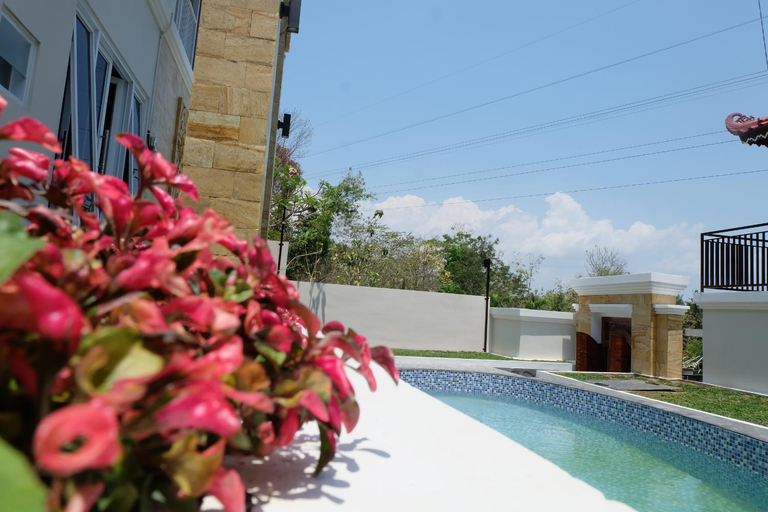 Swimming Pool 1