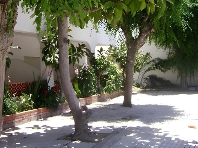 Others 5, Hostal Las Cumbres, Cádiz