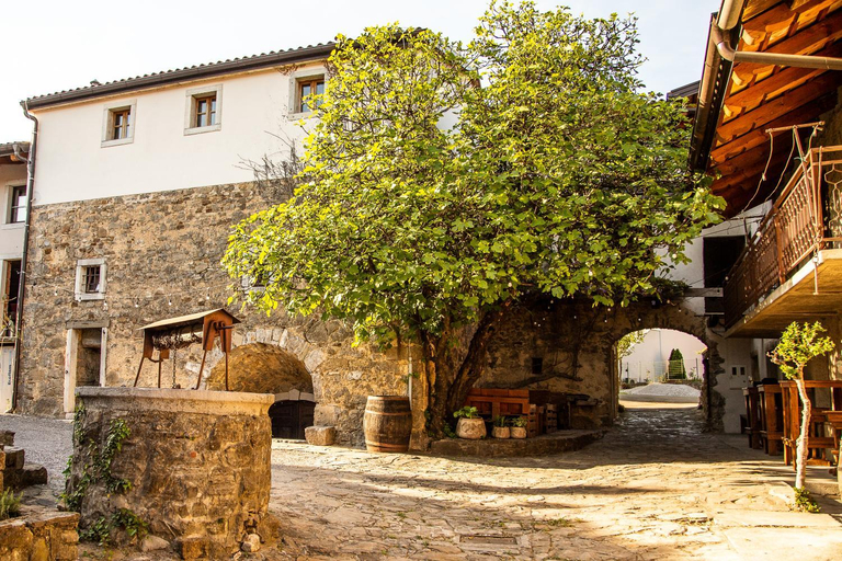 Boutique Rooms & Winery Zorz, Vipava
