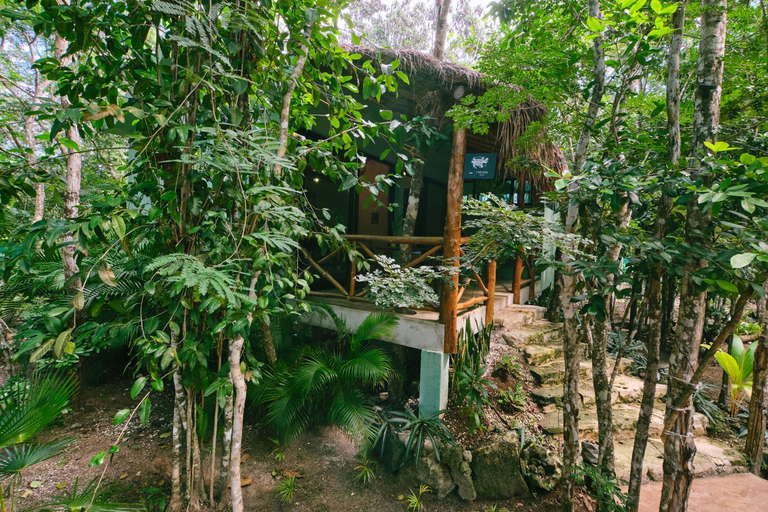 Others 4, Villas Zamna - Jungle Villas, Cozumel
