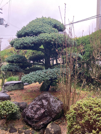 Others 4, Shionome house, Ikoma