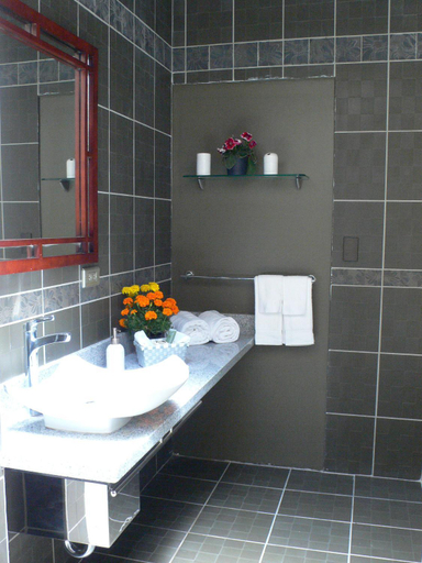Bathroom 4, Alameda Cariari Boutique Hotel, Belén