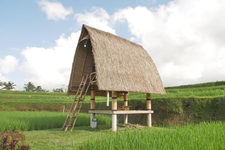 Batan Nyuh Glamping & Villa, Gianyar
