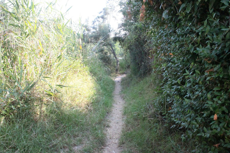 Others 4, Lavu Santu, Corse-du-Sud