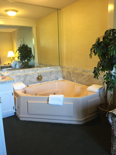 Bathroom 3, Lockport Inn and Suites, Niagara
