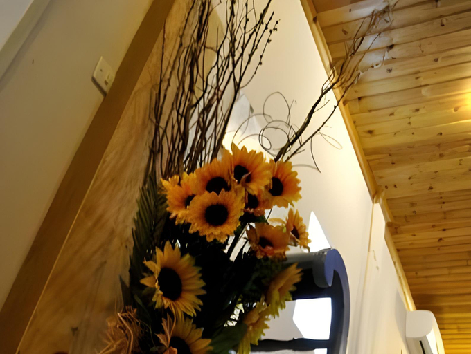 Others 4, Filoxenia Studios, Central Greece