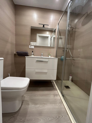 Bathroom 3, Alojamientos Castellana Jardin 1 y 2 PARKING Y PISCINA GRATIS!!, Burgos