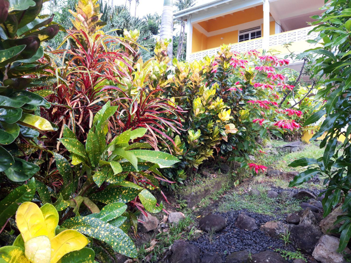 Others 5, Mango Garden Cottages