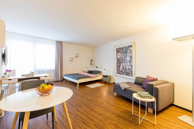 Others 4, Apartmenthaus zum Trillen Basel City Center, Basel