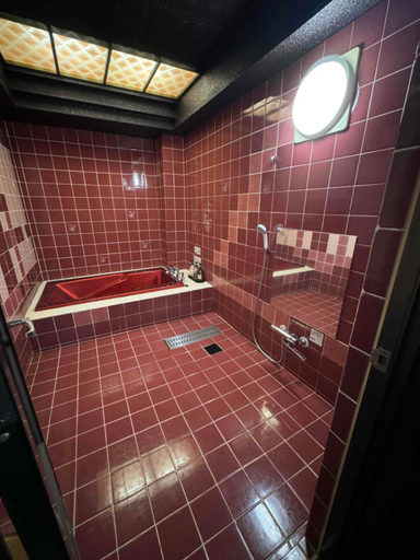 Bathroom 4, プラザ太陽, Rittō