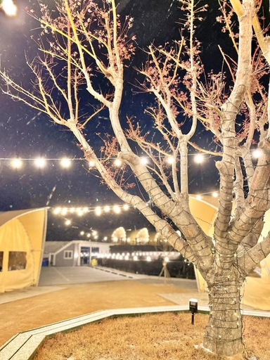 3, Namhae Treasure Island Glamping Pension, Namhae
