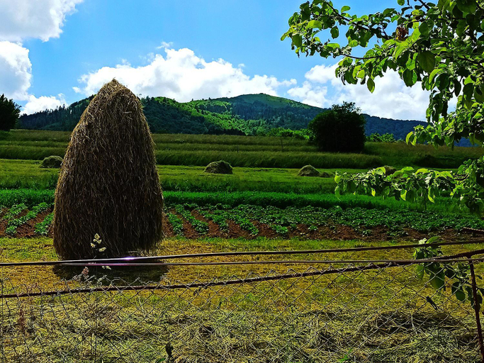 Others 5, Садиба" У Василя", Volovets'kyi