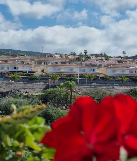 Others 4, VILLA LORA Modern & New townhouse 2 Bedroom, Santa Cruz de Tenerife