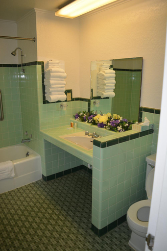 Bathroom 4, The Evergreen Motel in Kansas, Pratt