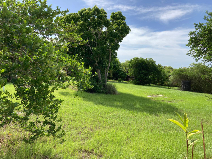 Garden 3, Fleurs d'epices, Anse-Bertrand