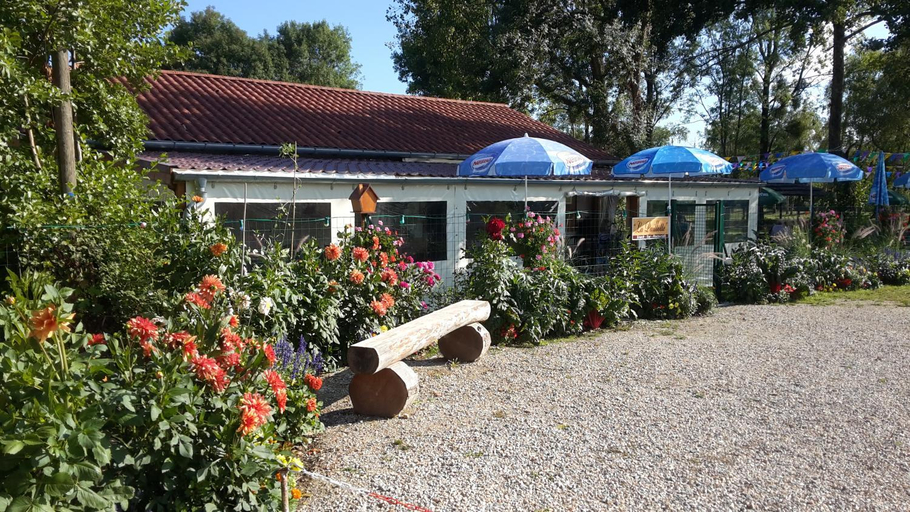 Food & Drinks 2, Paradis Des Dombes, Ain