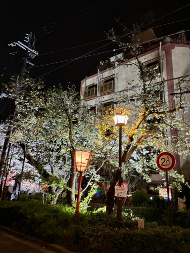 Others 3, 四条ホテル, Kyoto