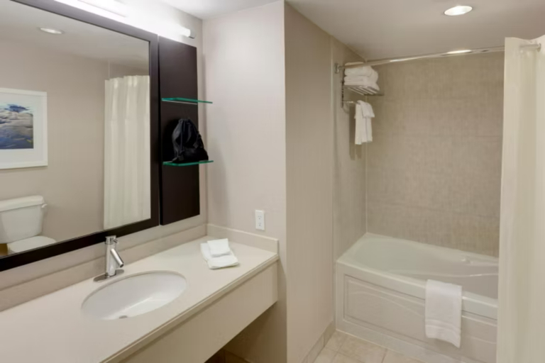 Bathroom 5, NIAGARA FALLSVIEW HOTEL by IHG, Niagara