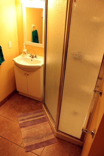Bathroom 3, Ottawa Backpackers Inn, Ottawa