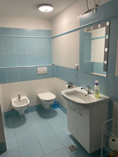 Bathroom 2, Penzion Pod Zamkem, Kutná Hora