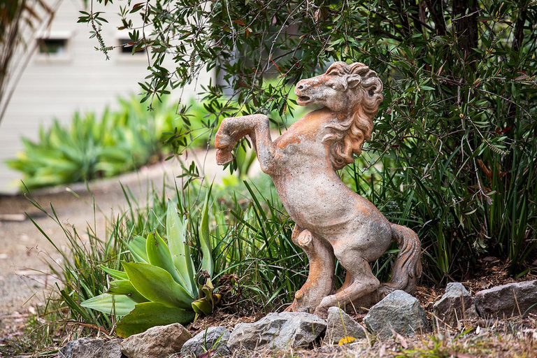 Garden 4, Valla Beach Top Spot, Bellingen