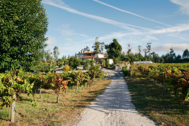 Others 4, Quinta da Paixao - Bed & Breakfast, Cabeceiras de Basto