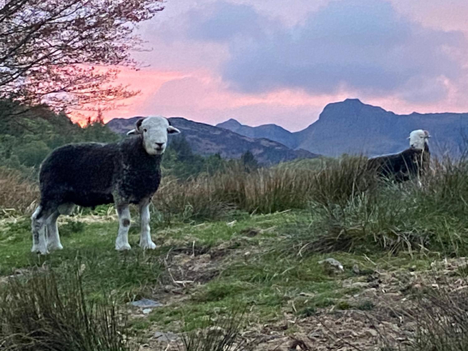Others 2, Elterwater Park Farmhouse Bed and Breakfast, Cumbria
