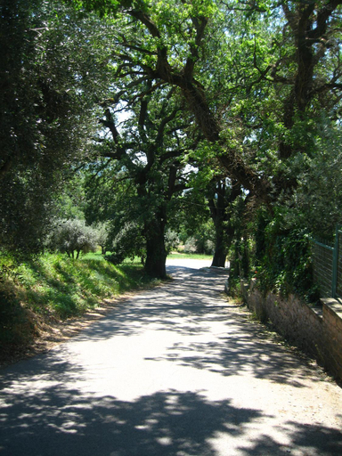 Others 5, Appartamento Bella Vista, Perugia