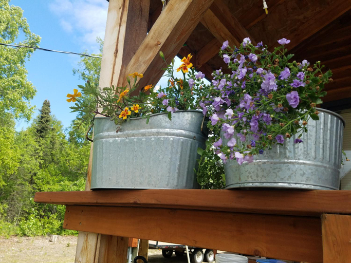 Others 2, Cache Cabins, Matanuska-Susitna