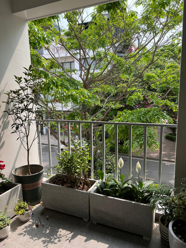 Others 5, Rosemary's, Hạ Long