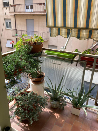 Others 4, B&B Marsiglia, Sassari