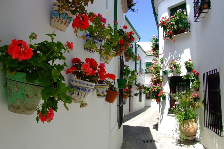 Others 5, Casa Olea, Córdoba