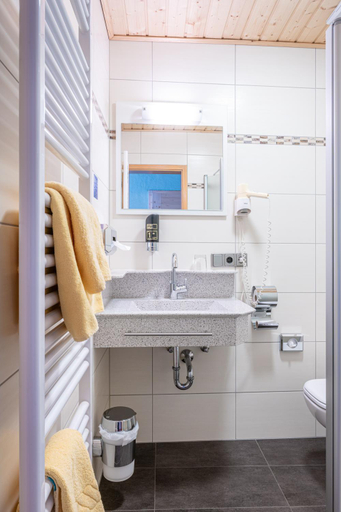 Bathroom 4, Gasthof Weißer Schwan, Neustadt an der Waldnaab