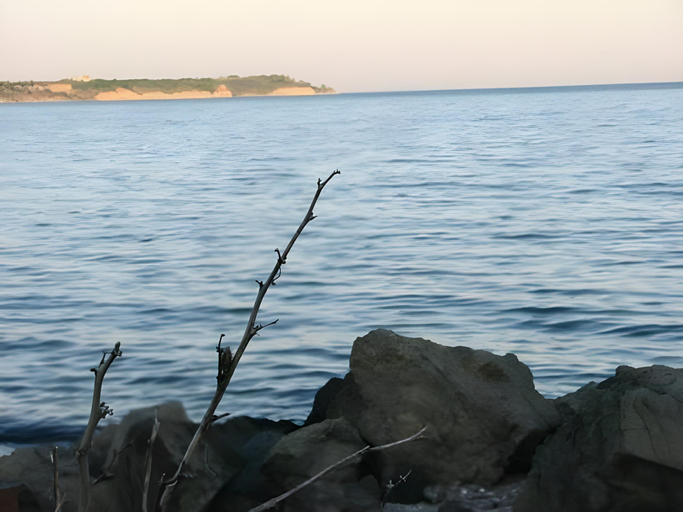 Others 4, Palma, Burgas