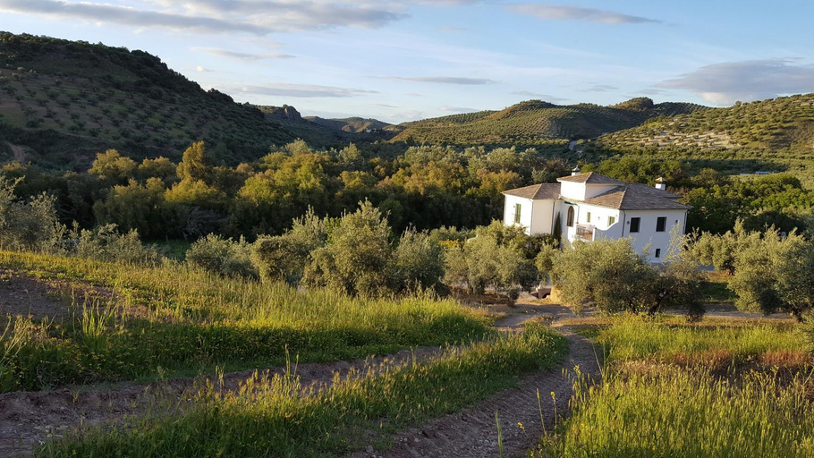 Others 3, Casa Olea, Córdoba
