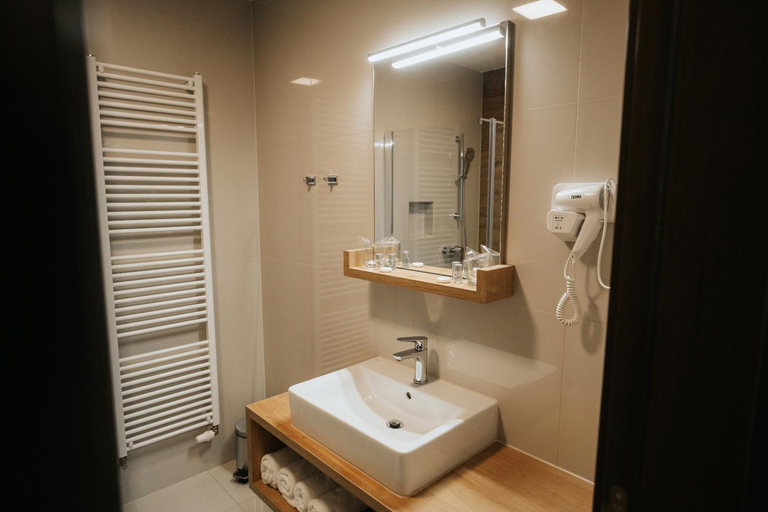 Bathroom 2, Hotel Zelenkrov, Čepin