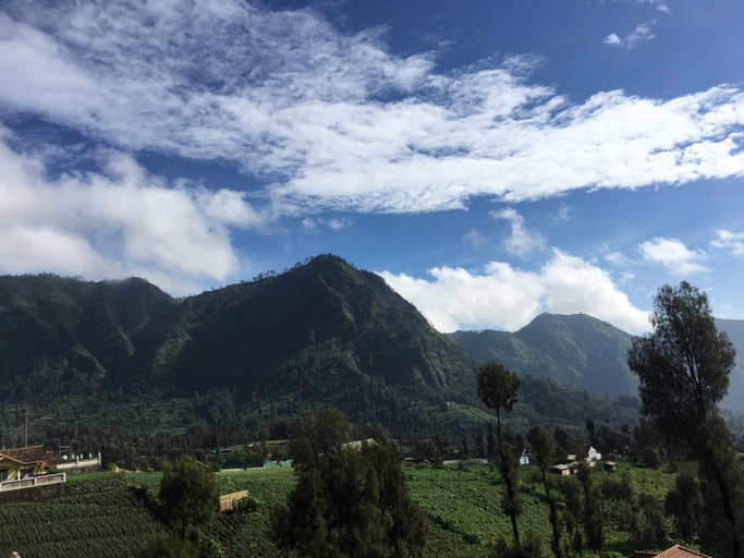 Exterior & Views 3, Bromo Deddy Homestay, Probolinggo