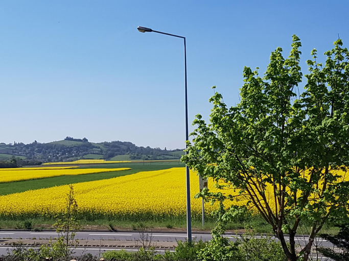 Scenery