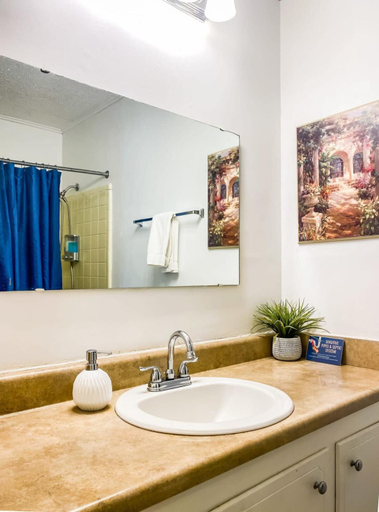 Bathroom 3, Near Space Center- Mahan Splashdown, Madison