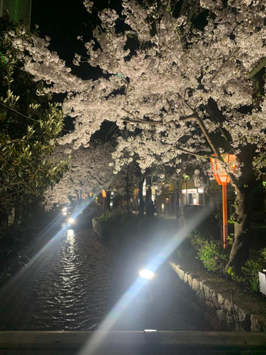 Others 4, 四条ホテル, Kyoto