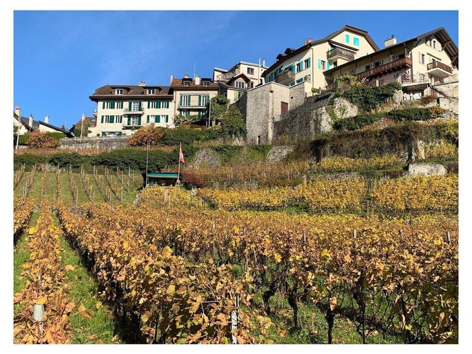 La Vigneronne, uitzicht op het meer, Arlesheim