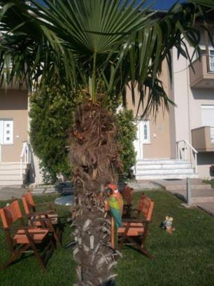 Others 3, Hotel La Strada, East Macedonia and Thrace