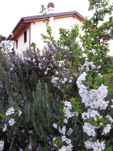 Others 4, “Al Campo”, Verona
