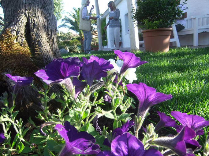 Others 4, Residenza Nialiccia, Olbia-Tempio