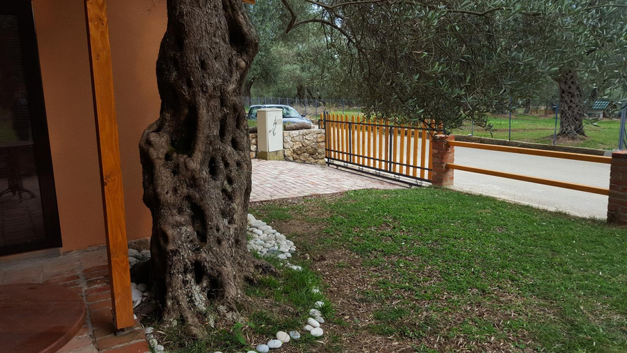 Others 2, Olive Paradise