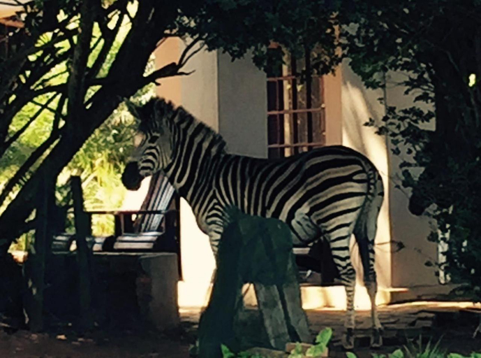 Others 4, Benka LifeStyle Country Cottages, Lobamba