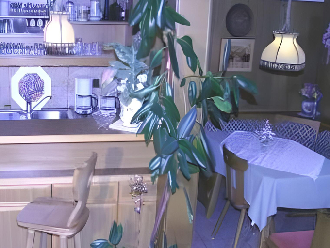 Food & Drinks 3, Privatpension Gosaukammblick, Gmunden