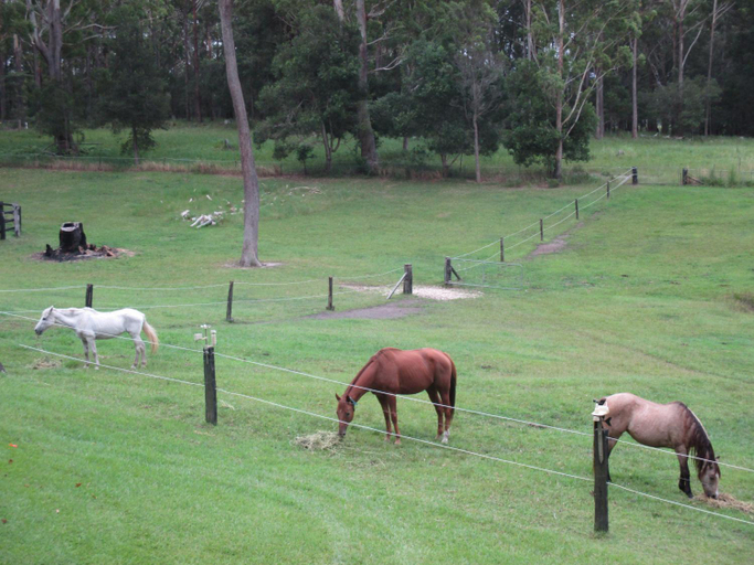 3, Valla Beach Top Spot, Bellingen
