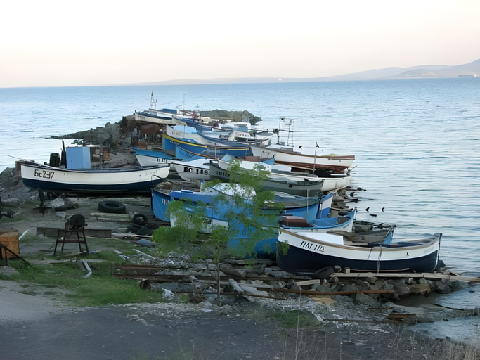 Others 4, Palma, Burgas